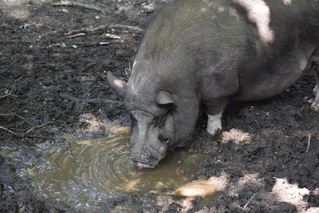 U20女足亚洲杯分组：中国队避开日韩澳朝，与泰越孟加拉同组